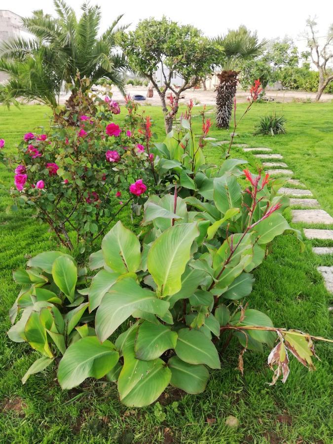 Il Giardino Dei Tramonti Bed & Breakfast นาร์โด ภายนอก รูปภาพ